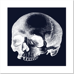 Big Vintage Skull Top Illustration Missing Tooth Posters and Art